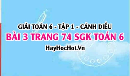 Giải bài 3 trang 74 Toán 6 Tập 1 SGK Cánh Diều